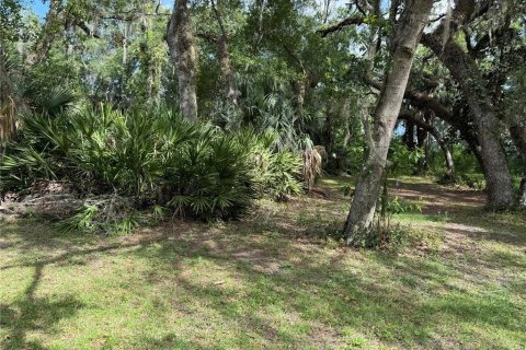 Land in Hernando, Florida № 2095096 - photo 2