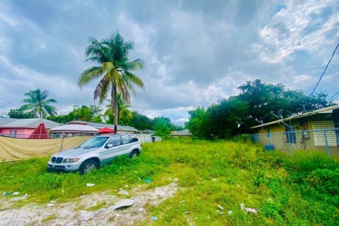 Land in Miami, Florida № 1977302 - photo 9