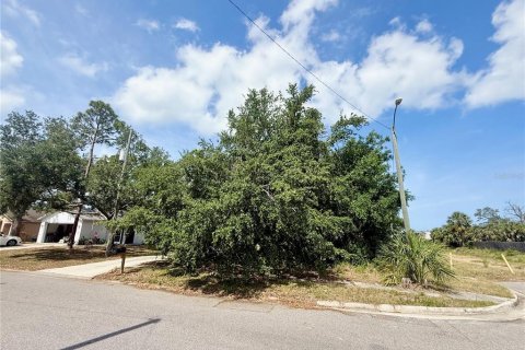 Terreno en venta en Sarasota, Florida № 1677423 - foto 3