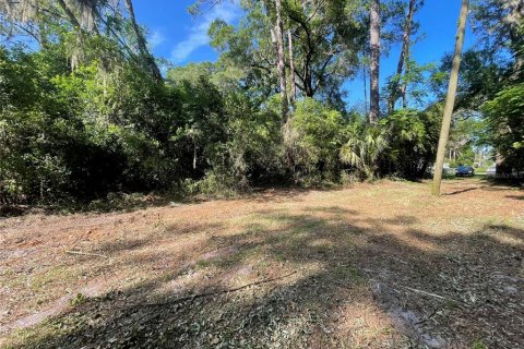 Terreno en Ocala, Florida № 2093411