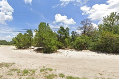 Купить земельный участок в Лисбург, Флорида № 1916467 - фото 5