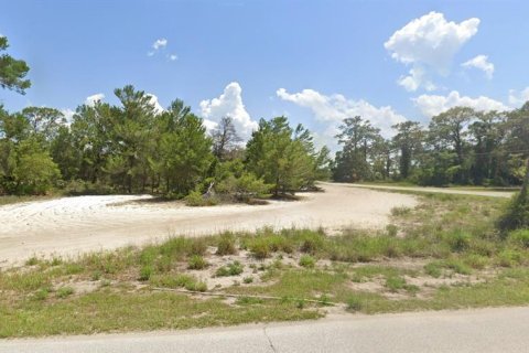 Купить земельный участок в Лисбург, Флорида № 1916467 - фото 6