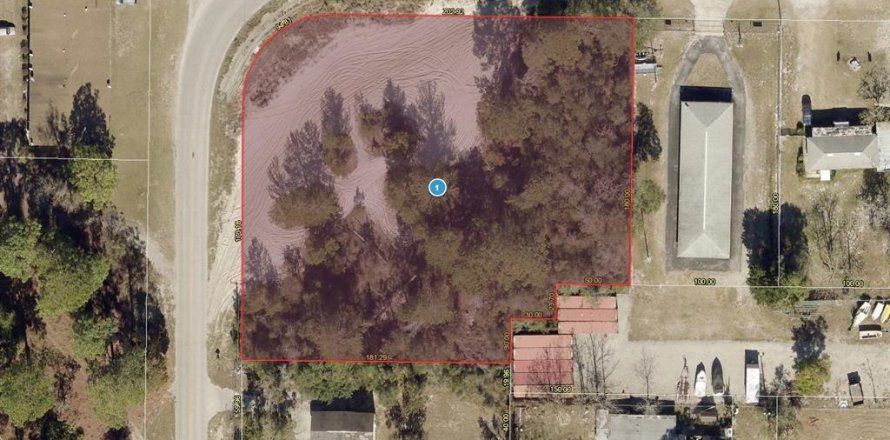 Terreno en Leesburg, Florida № 1916467