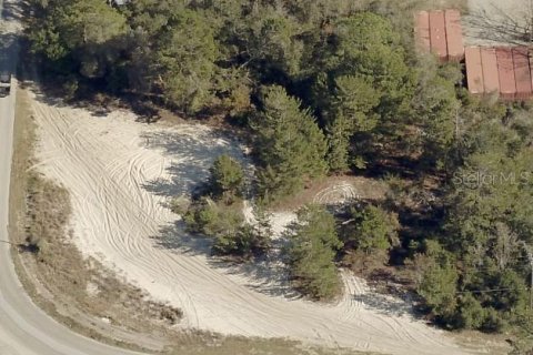 Купить земельный участок в Лисбург, Флорида № 1916467 - фото 3