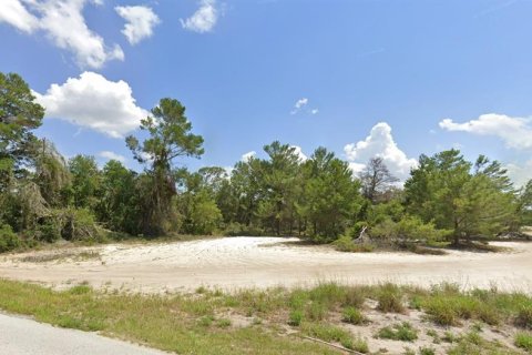 Купить земельный участок в Лисбург, Флорида № 1916467 - фото 7