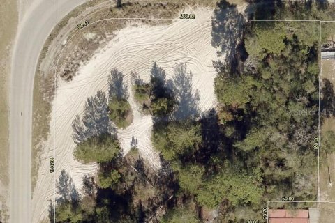 Купить земельный участок в Лисбург, Флорида № 1916467 - фото 2