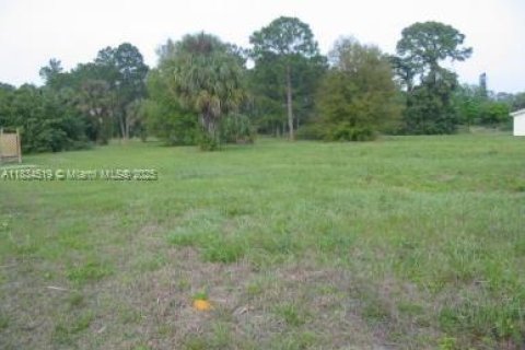 Land in Fort Myers, Florida № 1816537 - photo 1