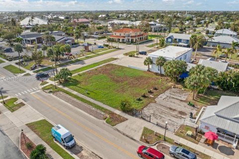 Immobilier commercial à vendre à Punta Gorda, Floride № 2022042 - photo 5