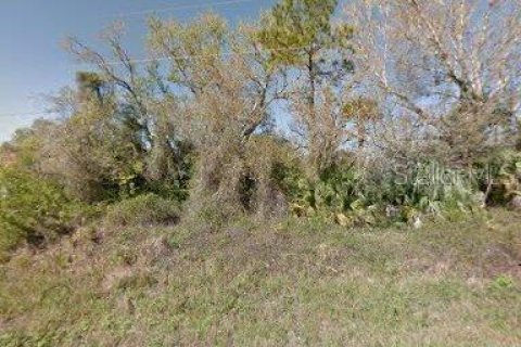 Land in Lehigh Acres, Florida № 2162671