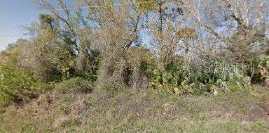 Land in Lehigh Acres, Florida № 2162671