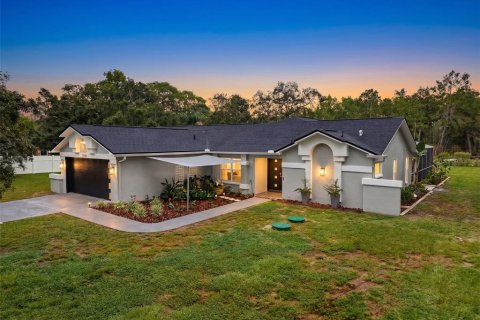 Villa ou maison à vendre à Hudson, Floride: 6 chambres, 243.4 m2 № 2149988 - photo 5