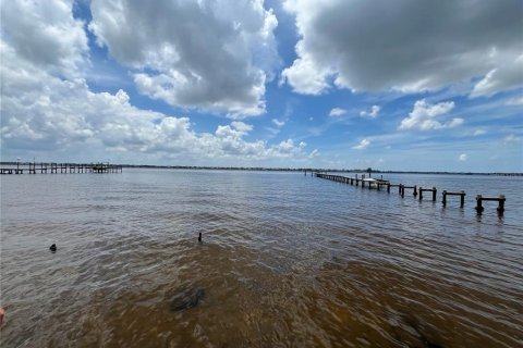Land in Ellenton, Florida № 1858449 - photo 1