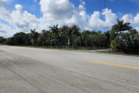 Terrain à vendre à Davie, Floride № 2000078 - photo 8