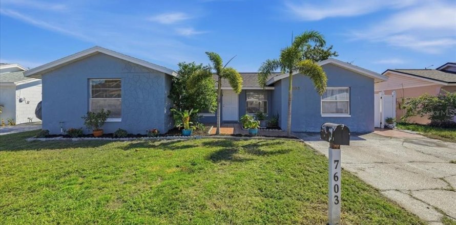 Immobilier commercial à Tampa, Floride 2 chambres, 123.75 m2 № 2419219