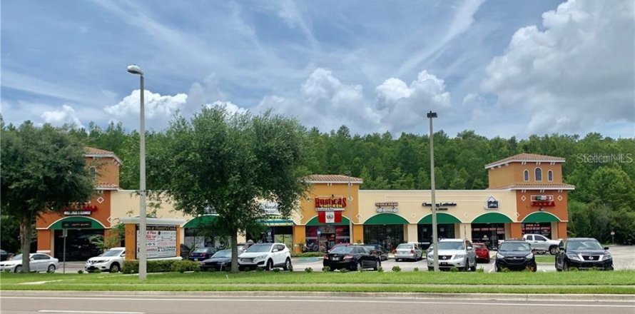 Immobilier commercial à Orlando, Floride 1157.56 m2 № 1826205