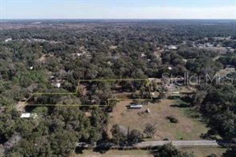 Terreno en Citra, Florida № 2205294