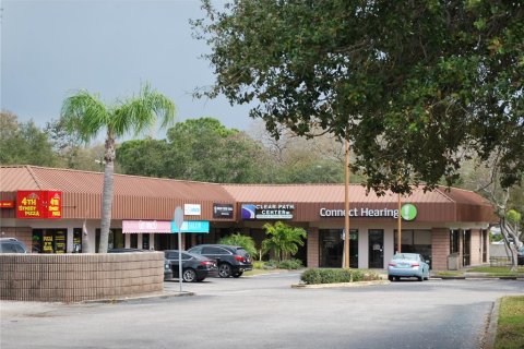 Commercial property in Saint Petersburg, Florida 79.43 sq.m. № 2206442 - photo 2