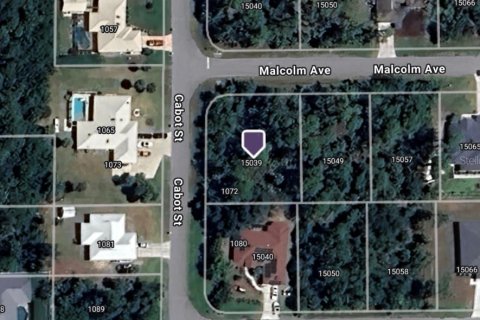 Land in Port Charlotte, Florida № 2161196