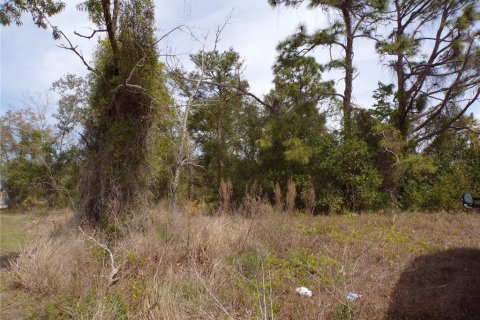 Land in Spring Hill, Florida № 1602269 - photo 2