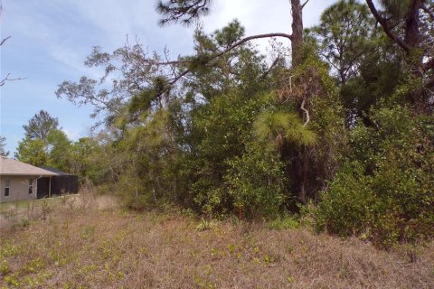 Land in Spring Hill, Florida № 1602269 - photo 3