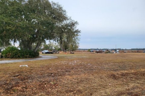 House in Arcadia, Florida 4 bedrooms, 287.07 sq.m. № 2212721 - photo 20
