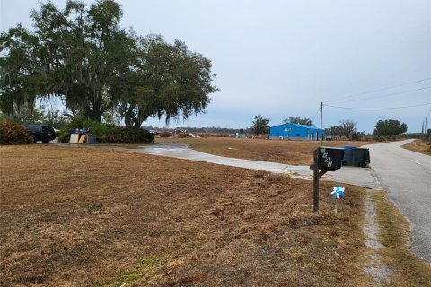 House in Arcadia, Florida 4 bedrooms, 287.07 sq.m. № 2212721 - photo 11