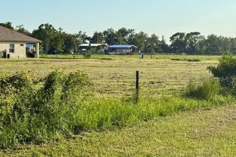 Land in Parrish, Florida № 1841620 - photo 2
