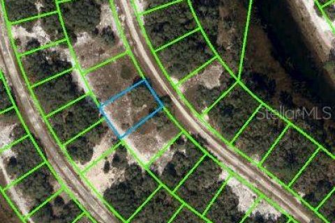 Land in Lake Placid, Florida № 2223963 - photo 2