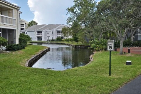 Copropriété à louer à Saint Petersburg, Floride: 2 chambres, 68.75 m2 № 2379186 - photo 15