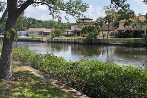 Condo in Tampa, Florida, 1 bedroom  № 1837799 - photo 17
