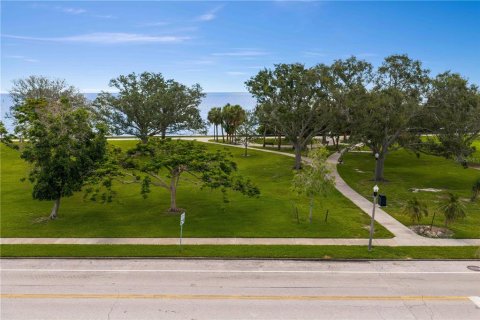 Land in Saint Petersburg, Florida № 1877131 - photo 6