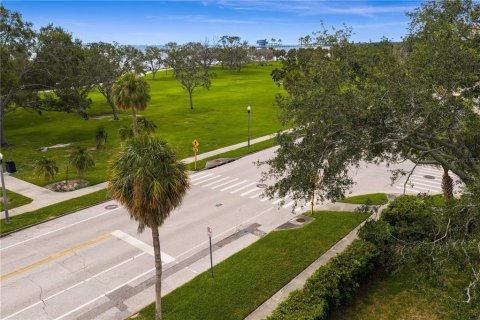 Land in Saint Petersburg, Florida № 1877131 - photo 8