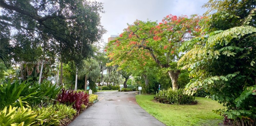 Studio à Condo à Miami, Floride  № 1800811