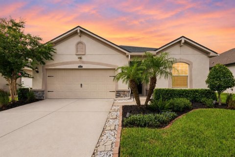 Villa ou maison à Riverview, Floride 3 chambres, 187.38 m2 № 2314469