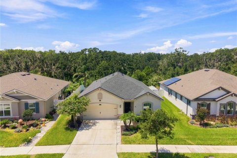 House in Riverview, Florida 3 bedrooms, 187.38 sq.m. № 2314469 - photo 23