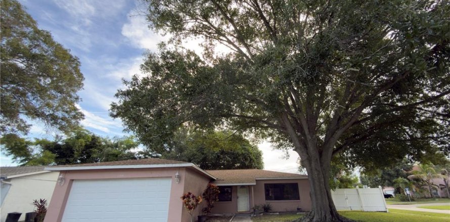 Villa ou maison à Pinellas Park, Floride 3 chambres, 111.11 m2 № 2373423