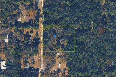 Terrain à Jacksonville, Floride № 2203246