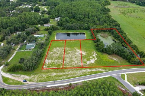 Land in Land O' Lakes, Florida № 2404941 - photo 2