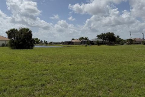 Land in Punta Gorda, Florida № 2213109 - photo 3