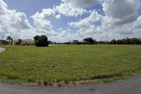 Land in Punta Gorda, Florida № 2213109 - photo 4