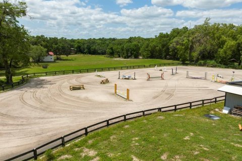 Immobilier commercial à louer à Apopka, Floride: 113.62 m2 № 1571058 - photo 2