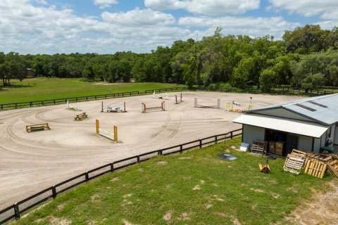 Immobilier commercial à louer à Apopka, Floride: 113.62 m2 № 1571058 - photo 3