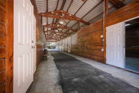 Immobilier commercial à louer à Apopka, Floride: 113.62 m2 № 1571058 - photo 23