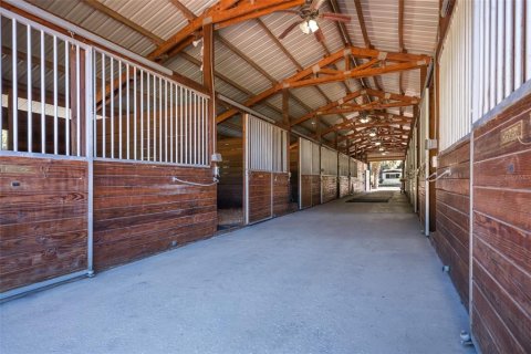 Immobilier commercial à louer à Apopka, Floride: 113.62 m2 № 1571058 - photo 24