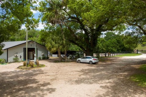 Immobilier commercial à louer à Apopka, Floride: 113.62 m2 № 1571058 - photo 14