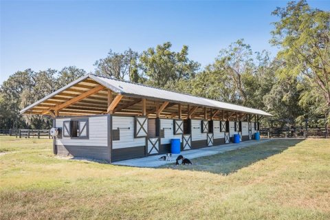 Immobilier commercial à louer à Apopka, Floride: 113.62 m2 № 1571058 - photo 30