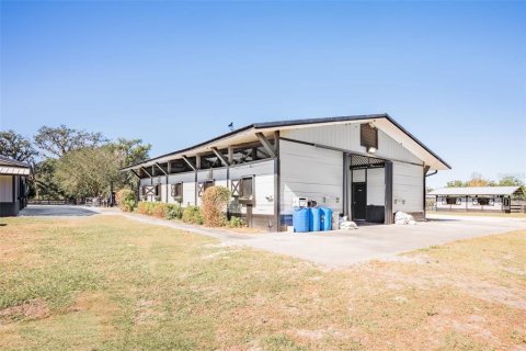 Immobilier commercial à louer à Apopka, Floride: 113.62 m2 № 1571058 - photo 5