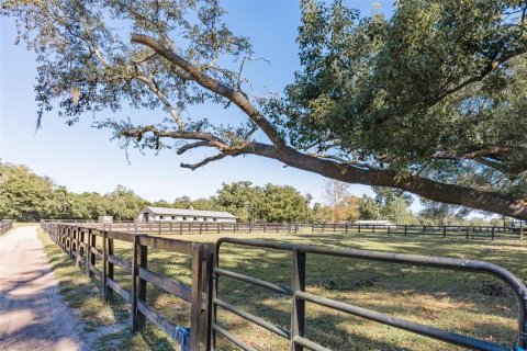 Immobilier commercial à louer à Apopka, Floride: 113.62 m2 № 1571058 - photo 21