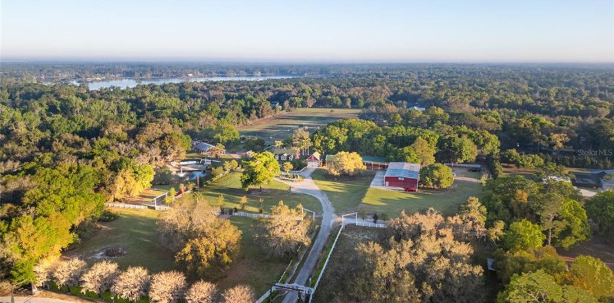 Land in Geneva, Florida № 2111770