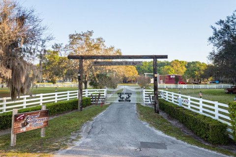 Land in Geneva, Florida № 2111770 - photo 6